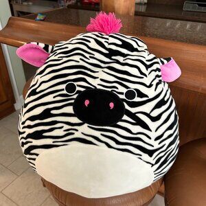 Tracey the Zebra squishmallow
